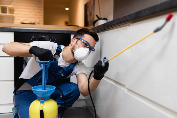 Best Ant Control Services  in Vista, CA