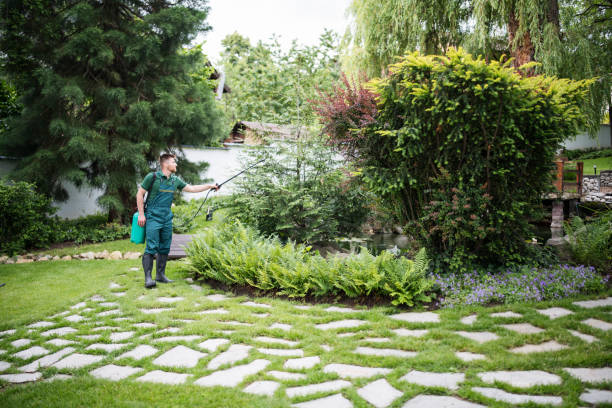 Best Exterminator Services  in Vista, CA
