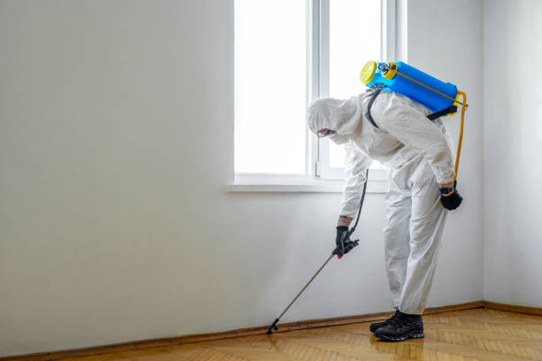 Best Pest Removal Services  in Vista, CA